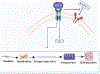 Figure 6: