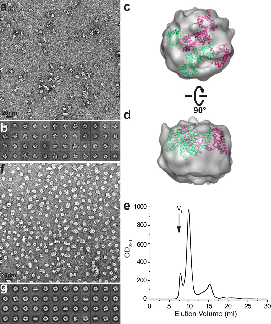 Extended Data Figure 3