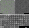 Extended Data Figure 7