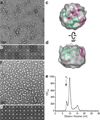 Extended Data Figure 3