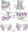 Extended Data Figure 9