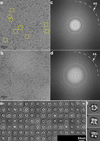 Extended Data Figure 4