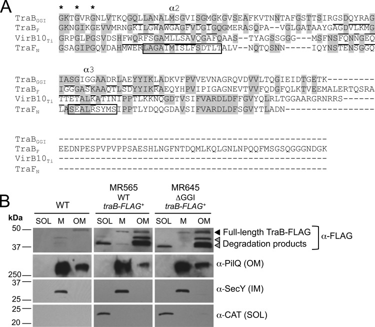 FIG 3