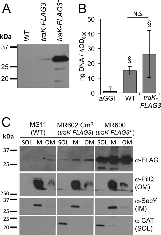 FIG 4