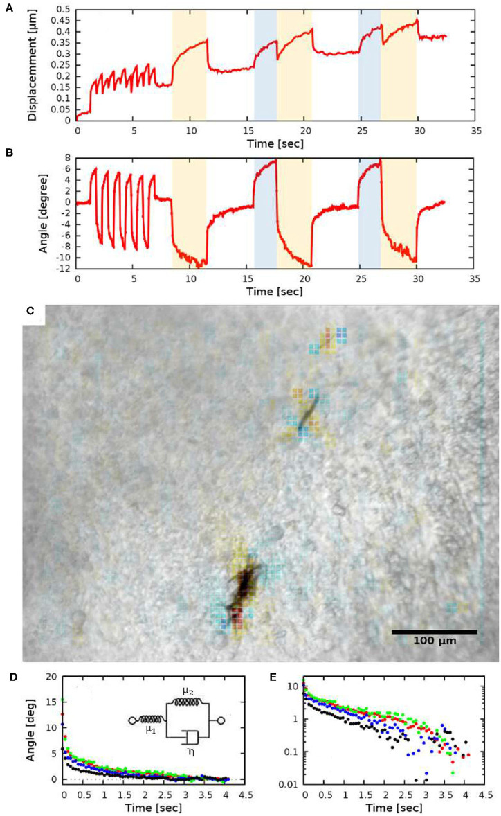 Figure 4