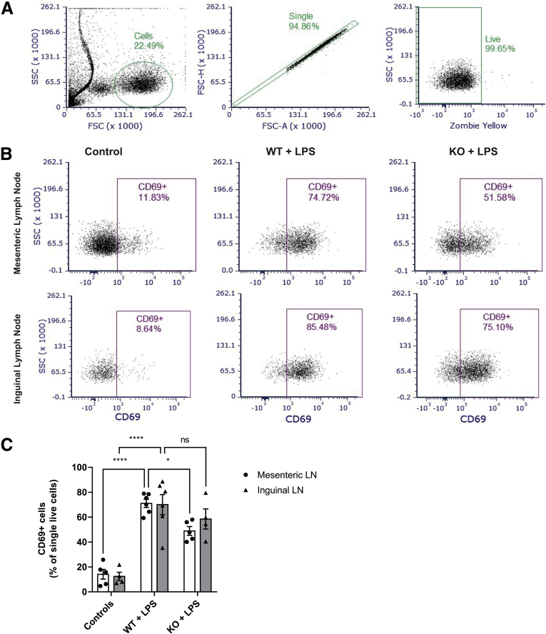 Figure 4