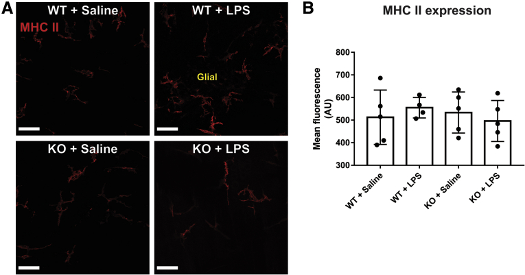 Figure 3