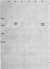 678