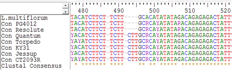 FIGURE 5