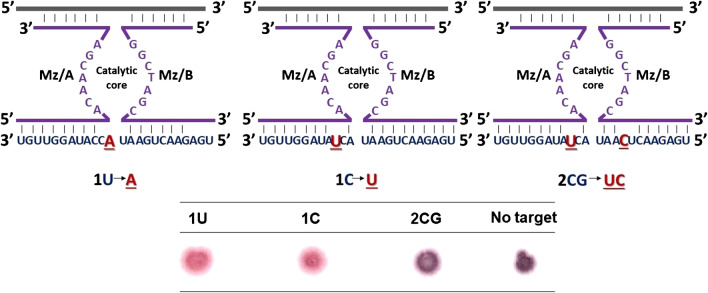 Fig. 4