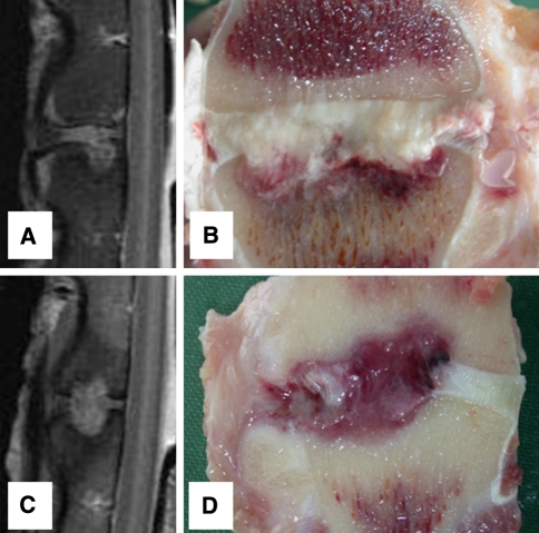 Fig. 8