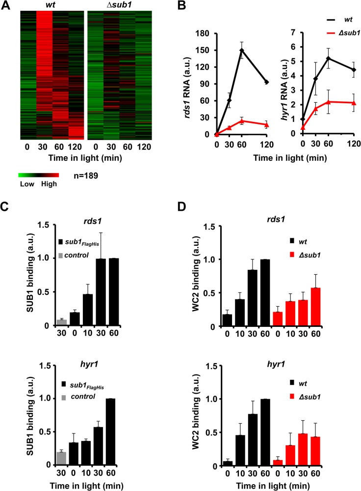 Fig 1