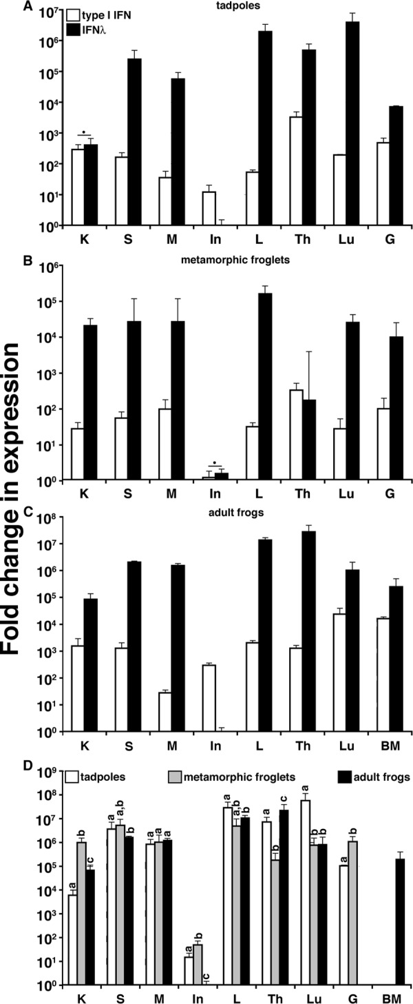 FIG 1