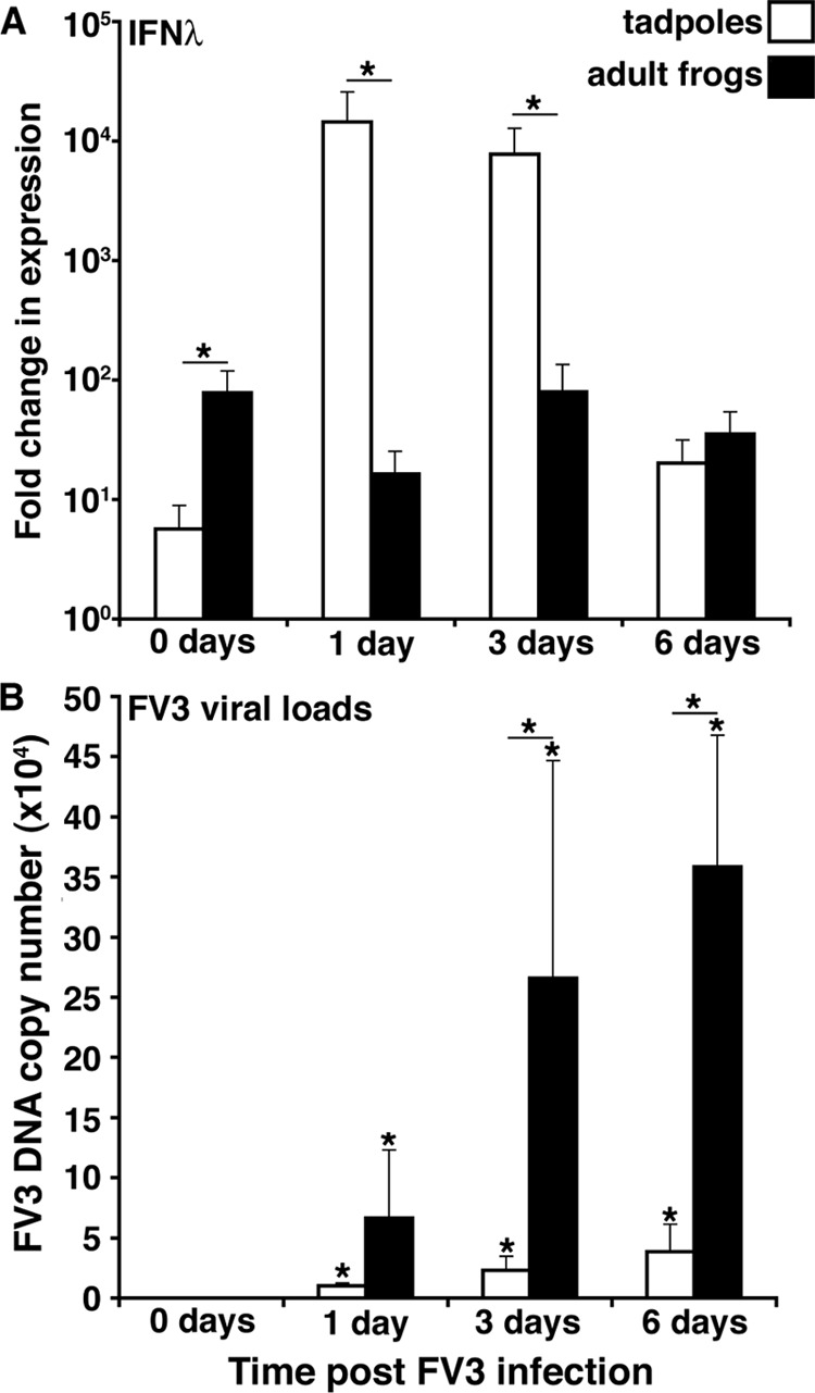 FIG 2