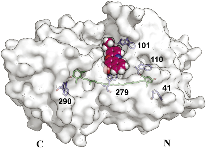 Figure 4