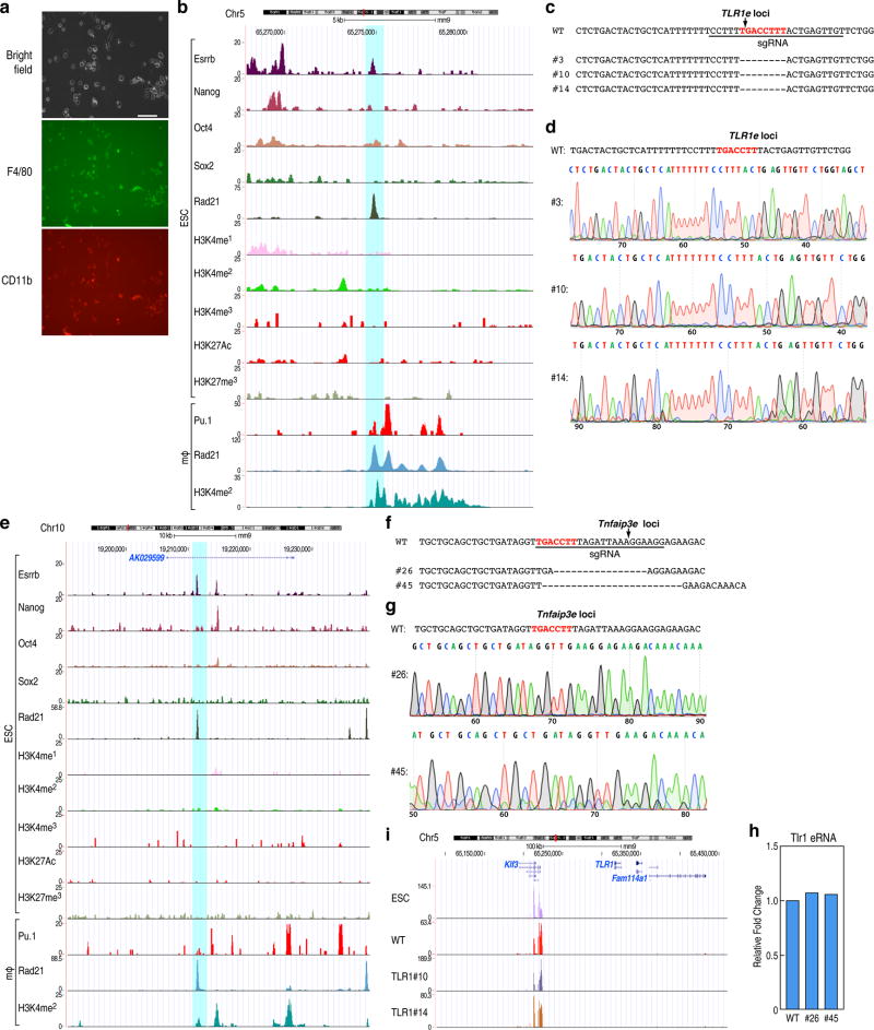 Extended data Figure 6