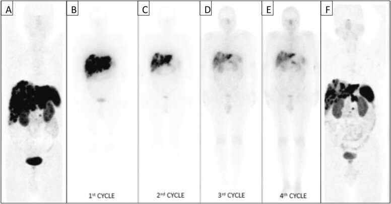 Fig. 6