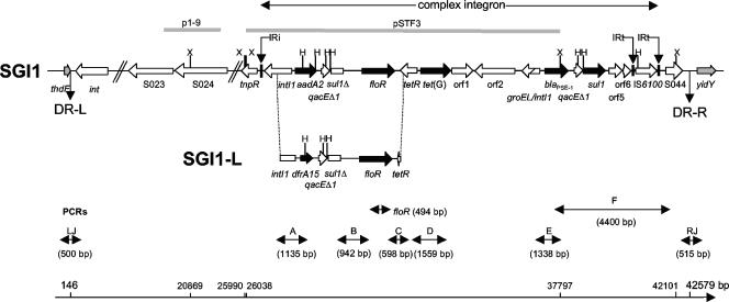 FIG. 1.