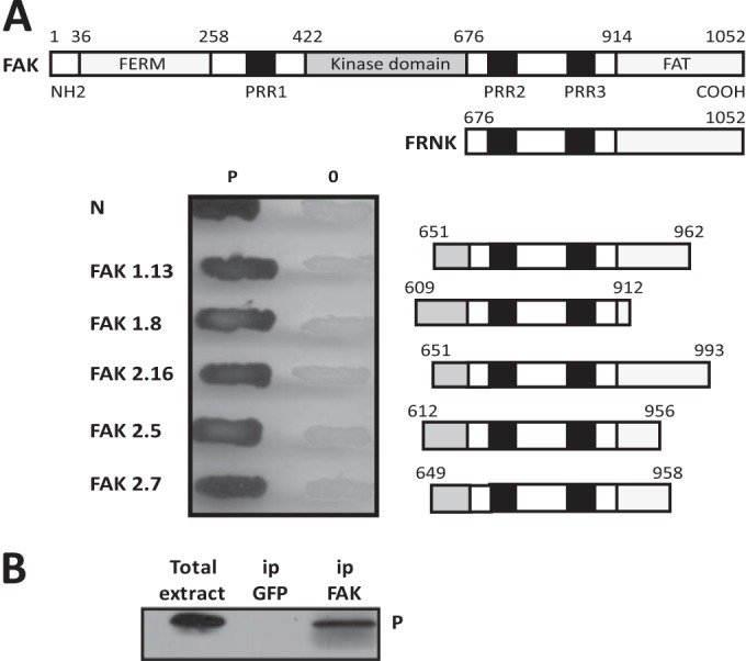 FIG 1