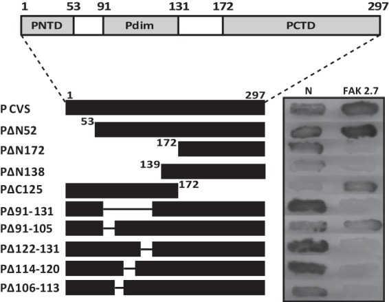 FIG 2