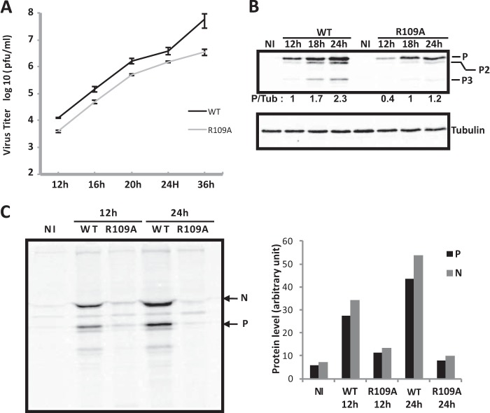 FIG 6