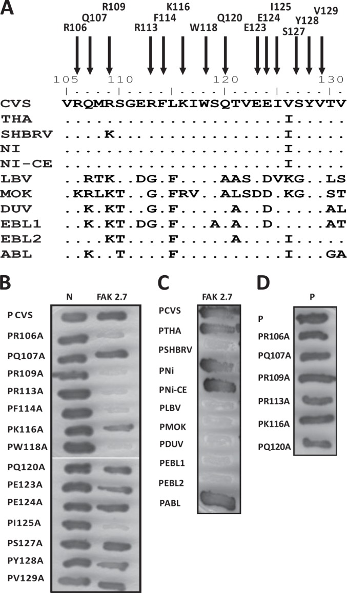 FIG 3