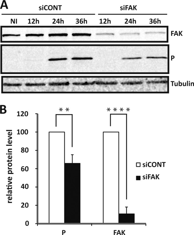 FIG 8