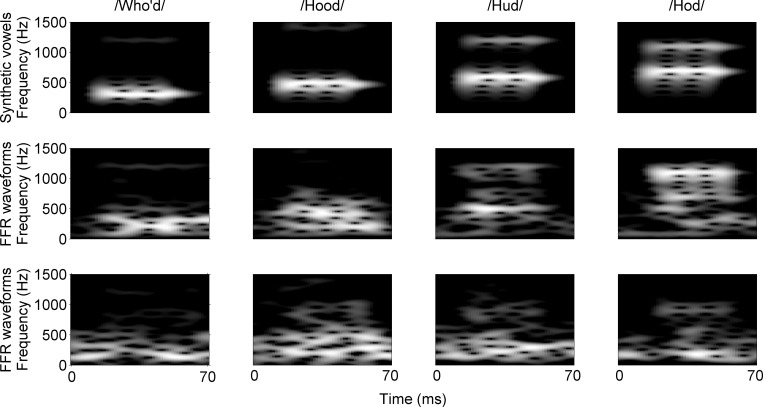 FIG. 1.