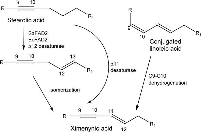 FIGURE 9.