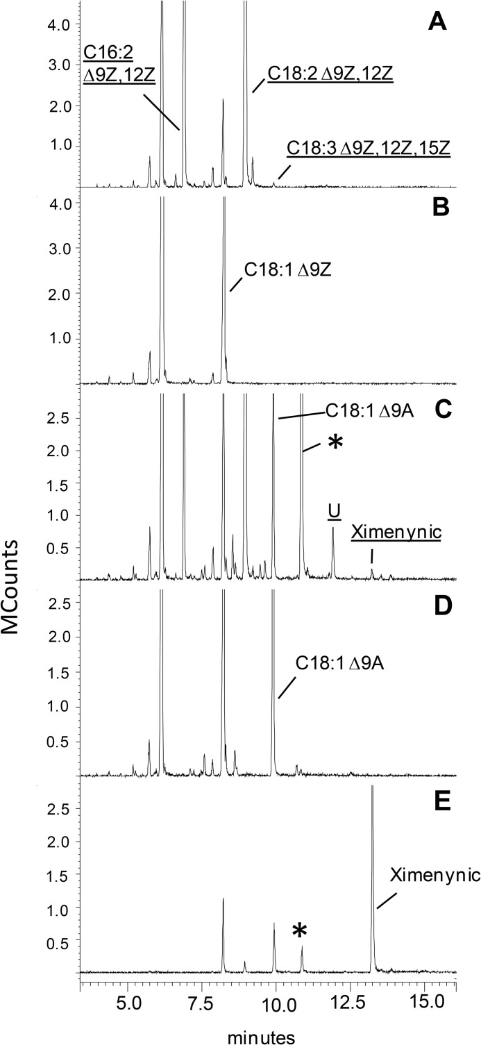 FIGURE 4.