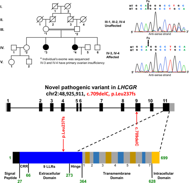 graphic file with name nihms-978389-f0001.jpg