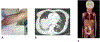 Figure 1.