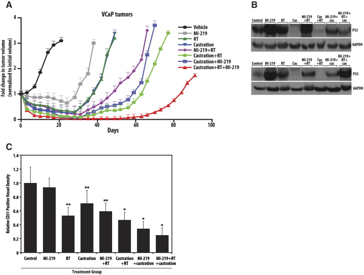 Figure 6