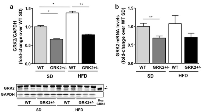 Fig. 4