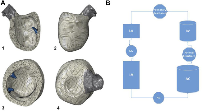 FIGURE 2