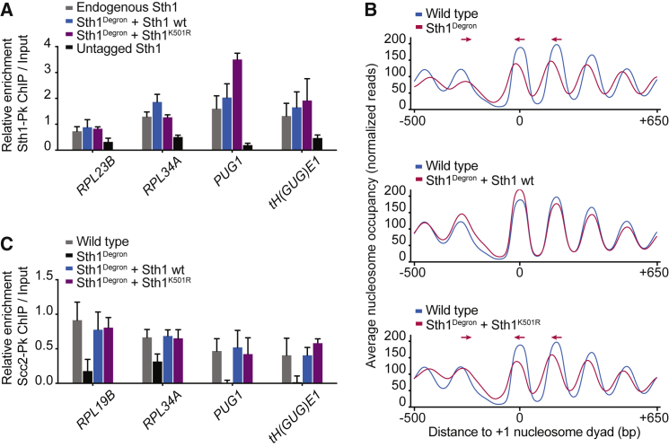 Figure 2