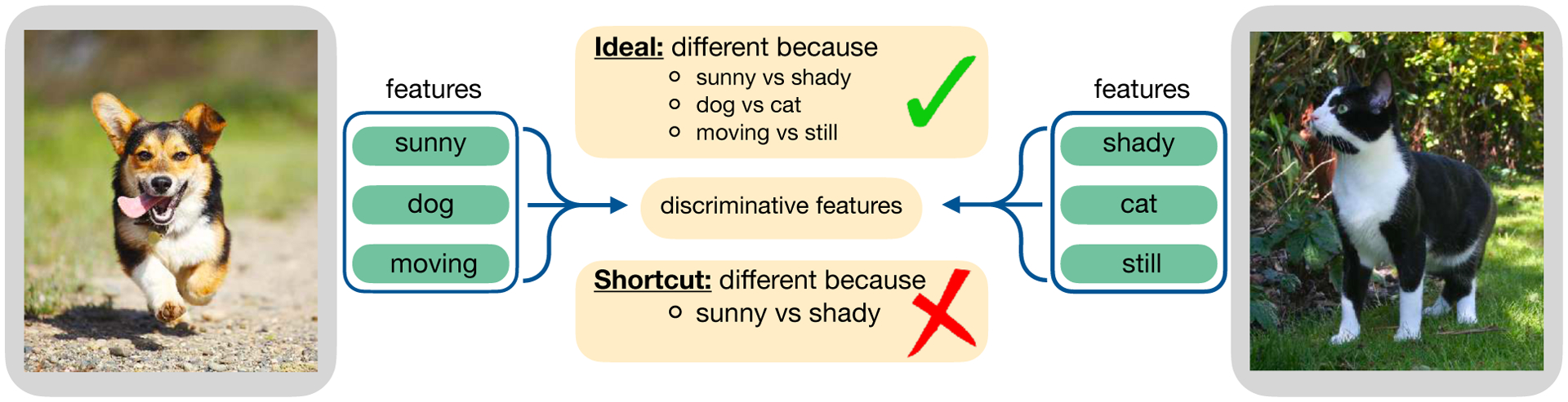 Figure 1: