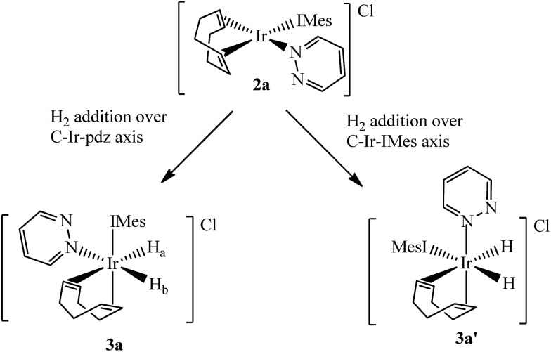 Scheme 3