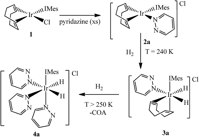 Scheme 4