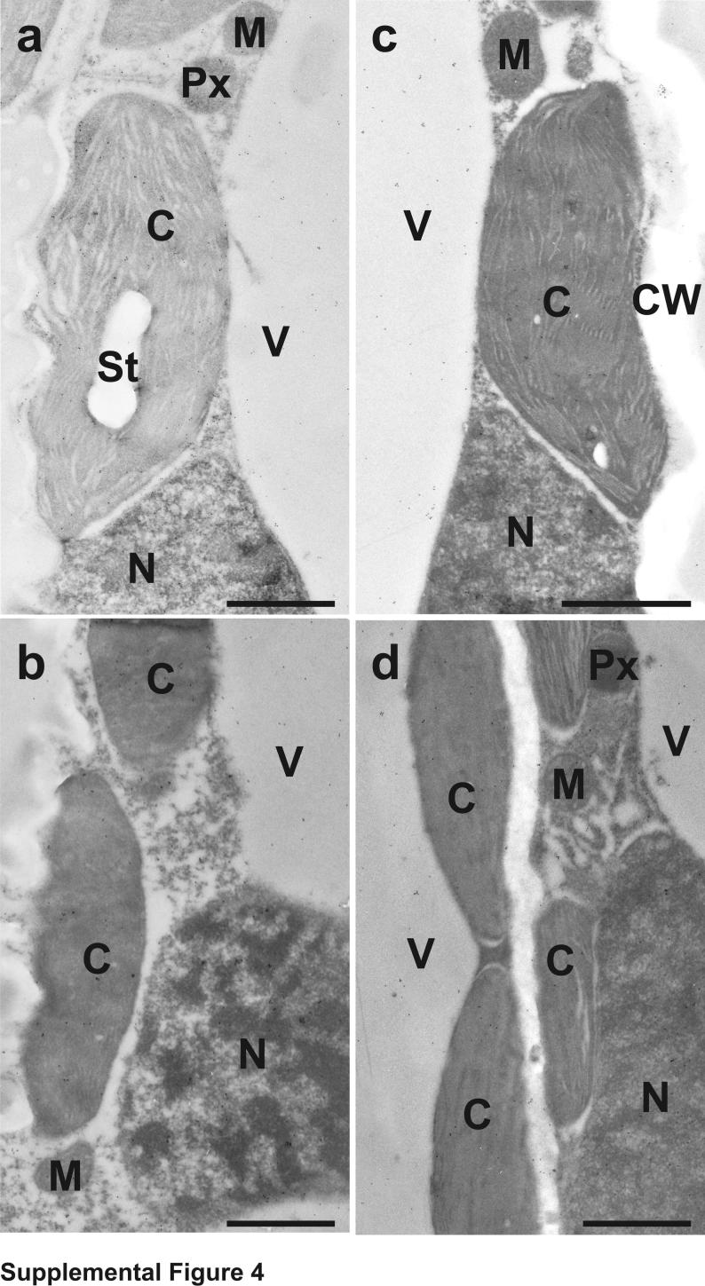 Fig. s4