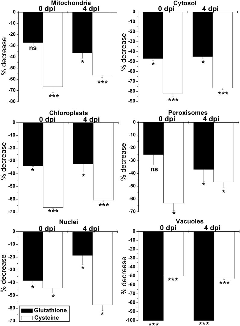 Fig. 4