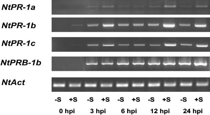 Fig. 7