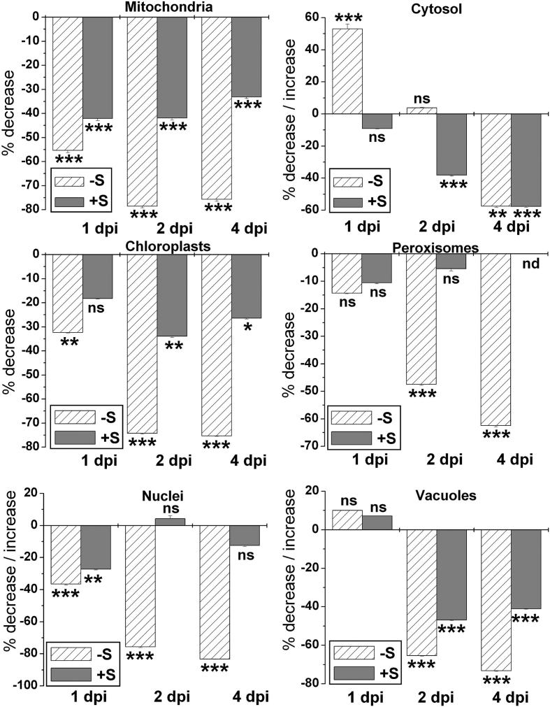 Fig. 6