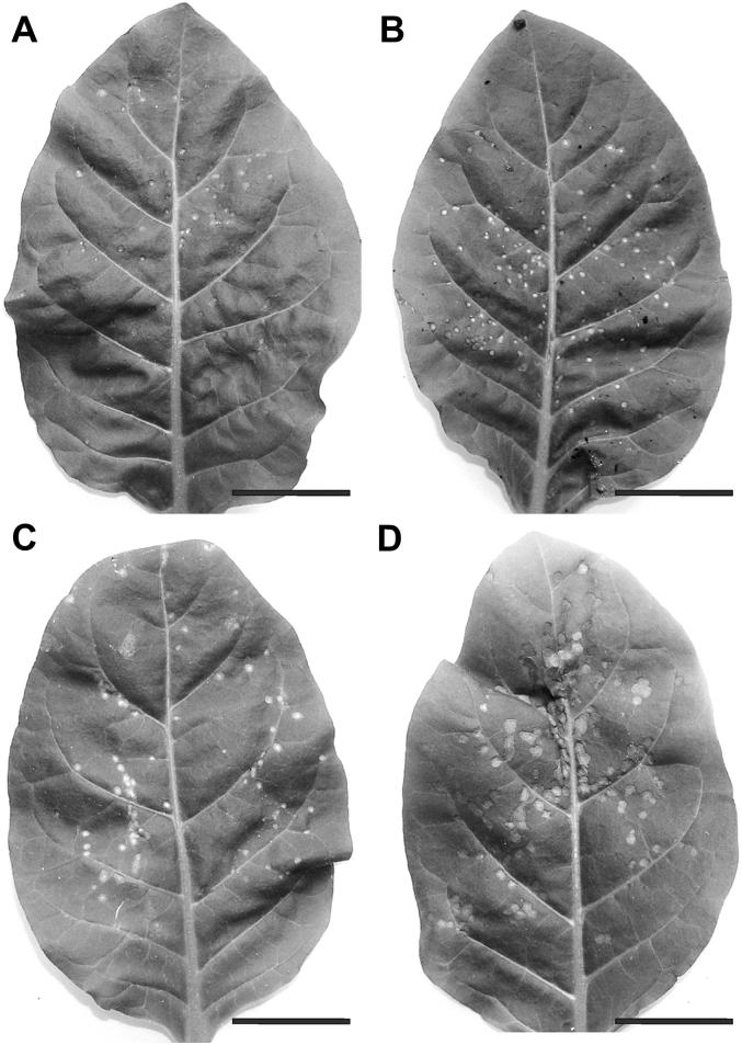 Fig. 1