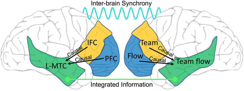 graphic file with name ENEURO.0133-21.2021_f006.jpg