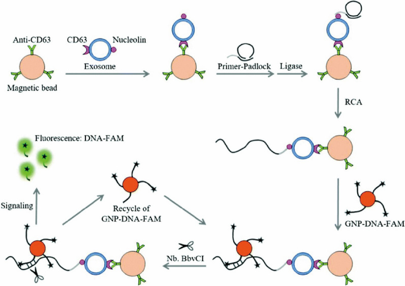 Fig. 11