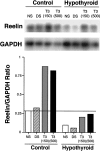 Fig. 10.