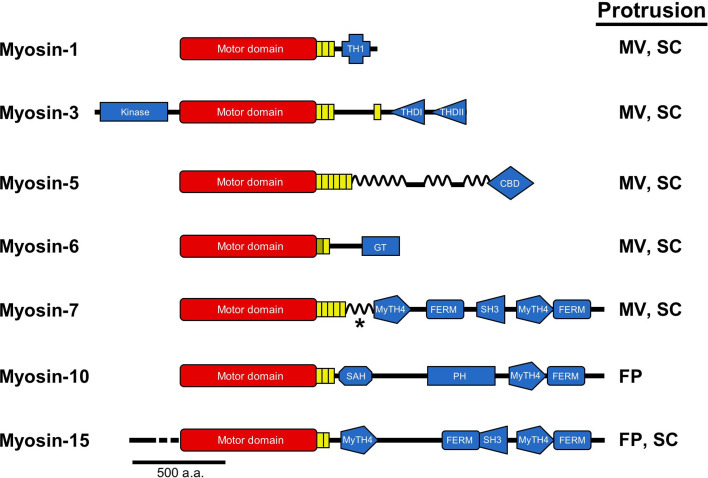 Fig. 3