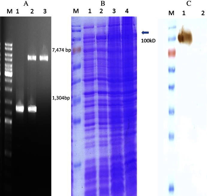 Figure 1