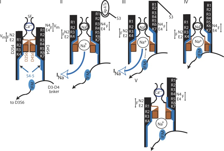 Figure 7.